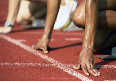 海豚直播-德甲历史上最高得分的球队排名全表