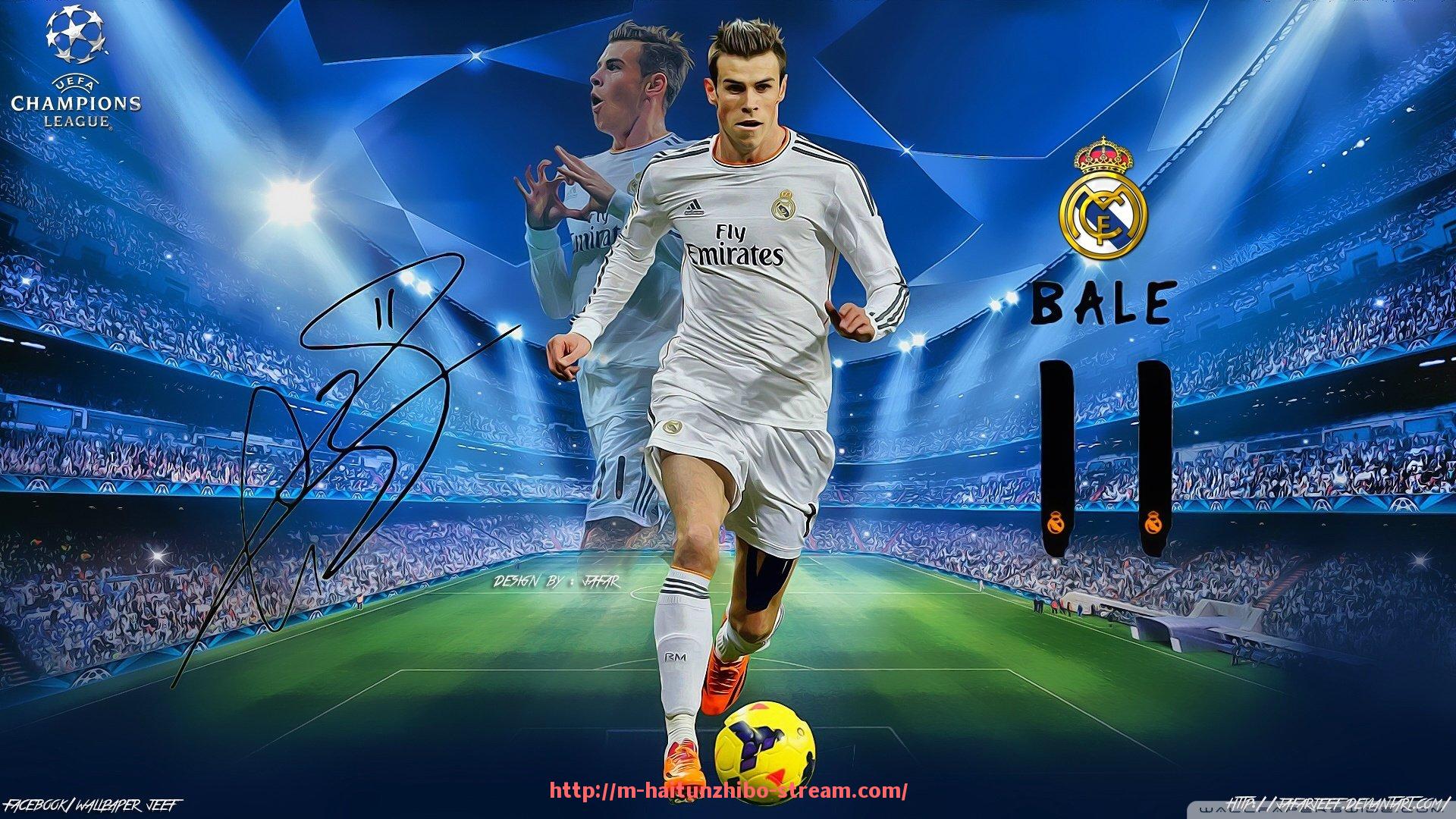 海豚直播-史帝飞健身器材：探索史帝飞品牌健身器材的多样选择与特点