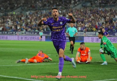 海豚直播-目前法甲联赛中都有哪几支球队参与竞争？（法甲各球队之间的关系）