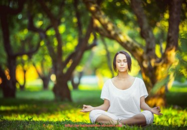 海豚直播-世俱杯球员心理调节方法及压力管理 海豚直播-世俱杯球员心理调节方法及压力管理