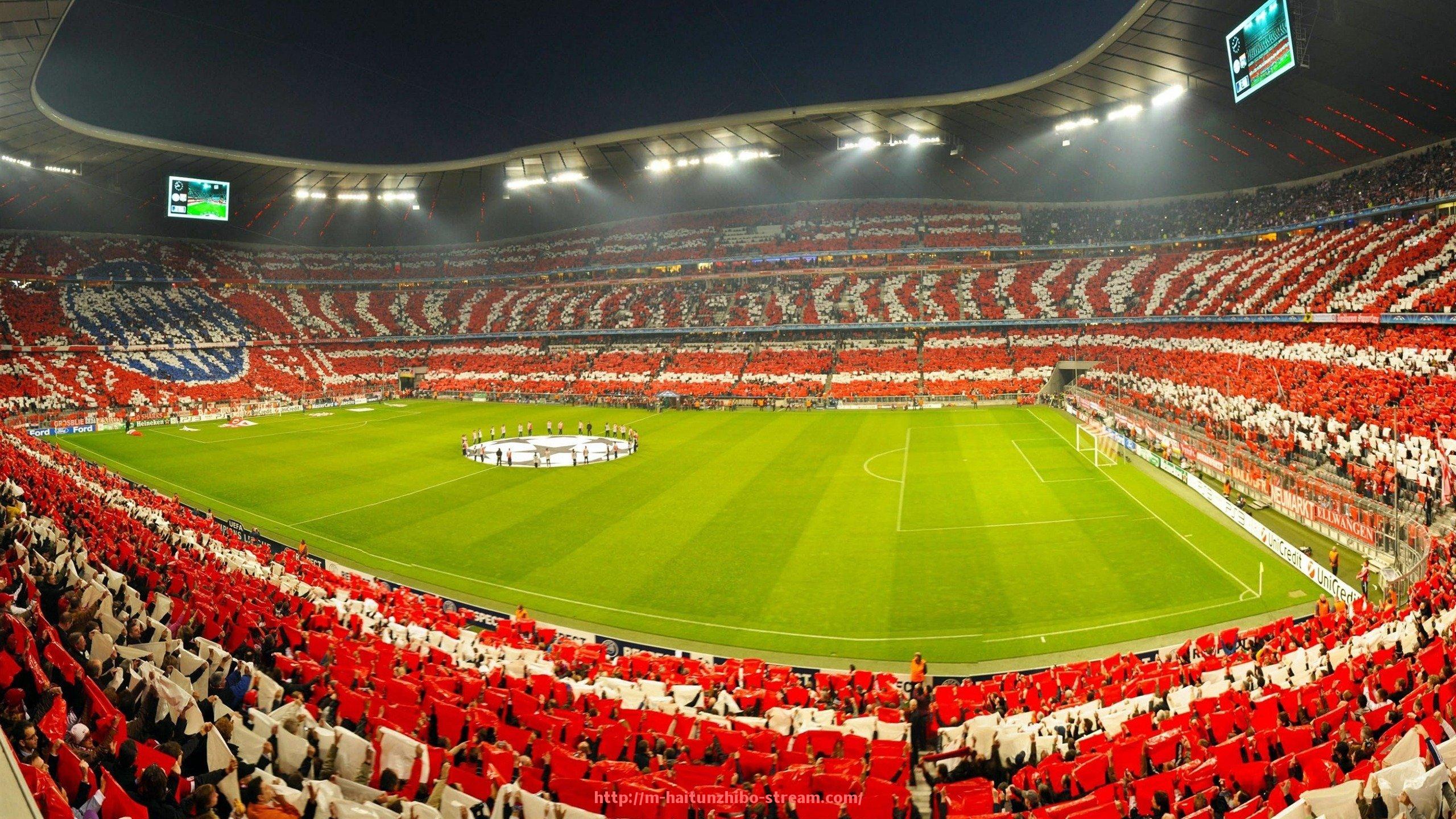 海豚直播-哪些健身器材适合女生使用？体育科学训练指南