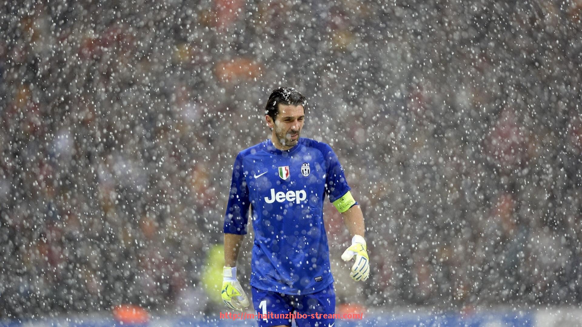 海豚直播-如何购买欧冠直播版权？转播合作流程详解